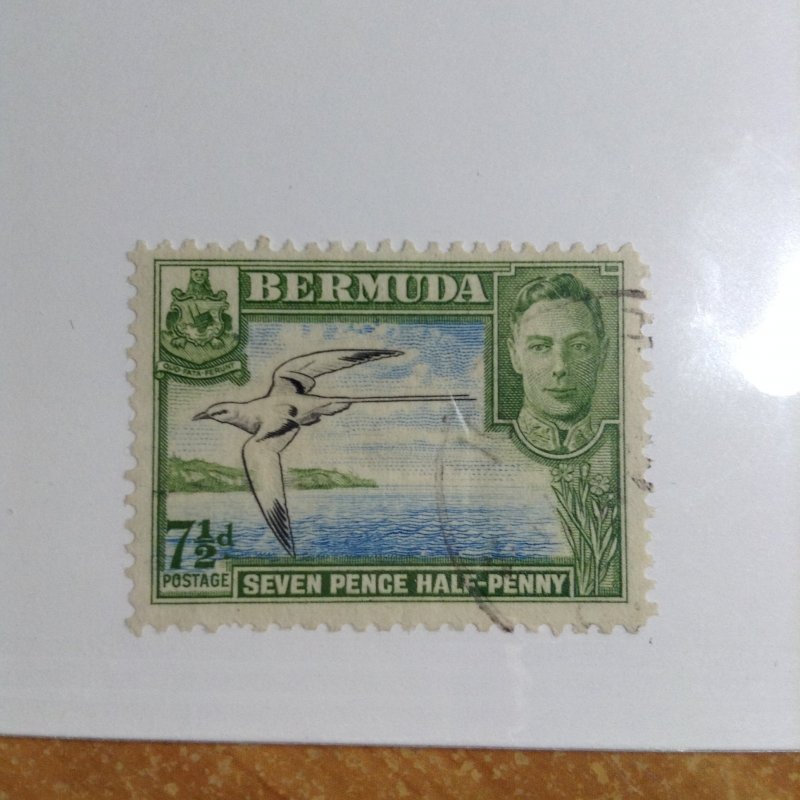 Bermuda  # 121D  used