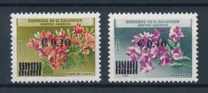 [116200] El Salvador 1974 Flora flowers with OVP in new values  MNH