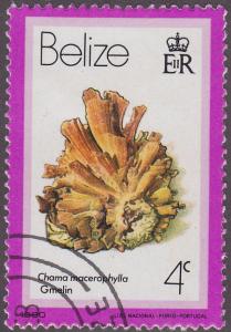 Belize 474 SeaShells 1980 CTO