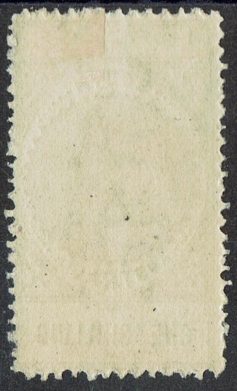 SOUTH AUSTRALIA 1902 QV THIN POSTAGE 1/-