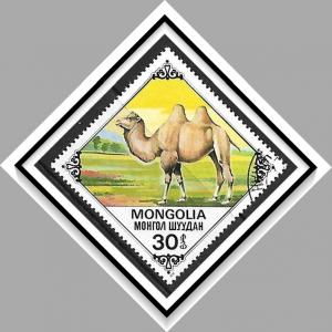 Mongolia #1041 Bactrian Camels CTO