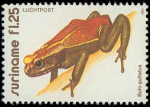 Suriname #574-576, C95-C97, Complete Set(6), 1980, Frog, Never Hinged