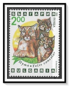 Bulgaria #3741 Wild Cats MNH