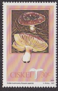 South Africa - Ciskei # 105, Edible Mushroom, NH, 1/3 Cat.