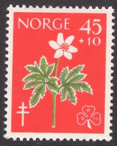 NORWAY SCOTT B62