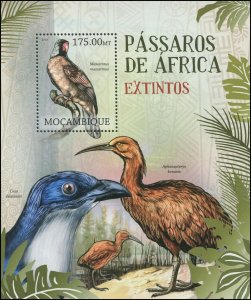 Mozambique 2012 Sc 2596 Birds Parrot CV $13.12