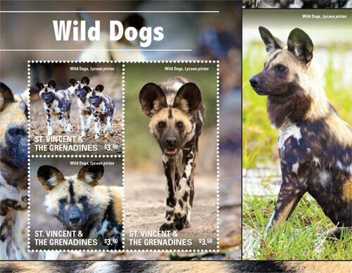 St. Vincent 2015 - Wild Dogs, Animals, Fauna & Flora - Sheet of 3 Stamps - MNH