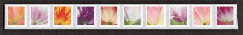 Scott # 5767-5776  Mint-NH Tulip Blossoms coil strip of 10 Plate # B1111