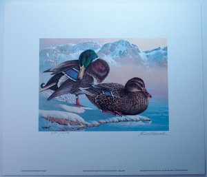 Washington Waterflow Hunting Stamp Signed Artwork 1986 Ducks Birds Limited USA