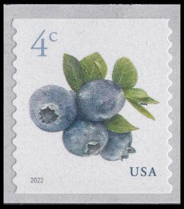 US 5653 Blueberries 4c coil single (1 stamp) MNH 2022
