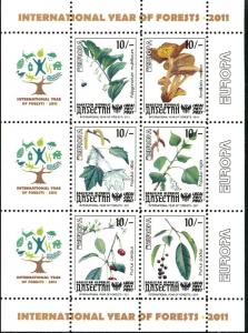 DAGESTAN RUSSIA LOCAL SHEET MUSHROOMS FORESTS EUROPA 2011