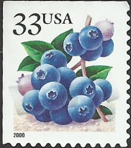 # 3294a USED BLUEBERRIES