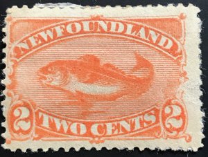 Newfoundland, Scott #48, Unused