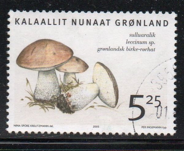 Greenland Sc 446 2005  5.25 kr Mushroom stamp used