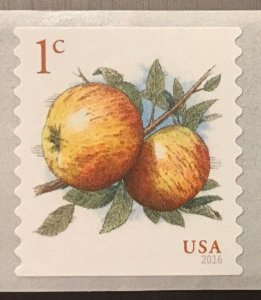 (100% donated to United Help Ukraine) 2016 USA #5037 stamp - 1c Apples Coil