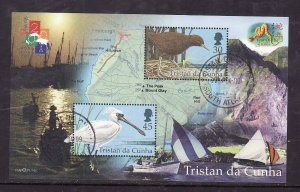 Tristan da Cunha-Sc#677- id8-used sheet-Chinese New Year of the Snake-Birds-2001