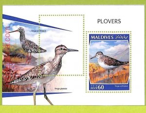 B0557 - MALDIVES - MISPERF ERROR Stamp Sheet - 2018 - BIRDS, PLOVERS-