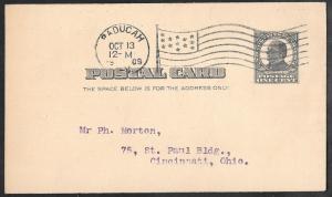 UX19 1 cent SUPERB FLAG CANCEL McKinley, circle Postal Card used F