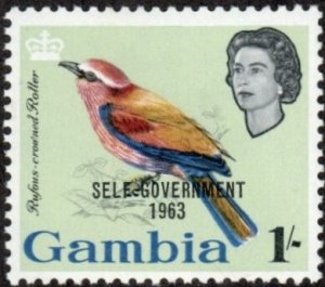 Gambia 190 - Mint-NH - 1sh Rufous-crowned Roller (1963) (cv $0.35)