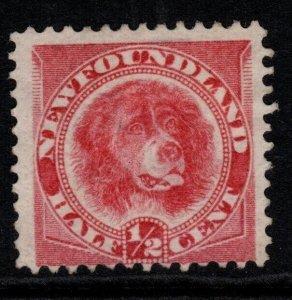 NEWFOUNDLAND SG49 1887 ½c ROSE-RED UNUSED