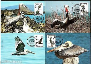 Virgin Island 1988 WWF Brown Pelicans Bird Wildlife Animal Sc 621-4 Max Cards