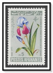 Afghanistan #608 Children's Day MNH