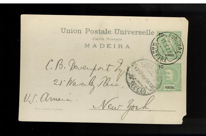 1906 Funchal Madeira Postcard Cover to USA