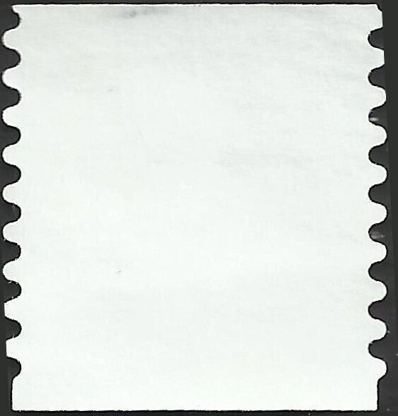 # 3302 USED BLUEBERRIES