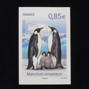 PG-B055 FRANCE - Birds, 2009 Imperial Penguins Cover