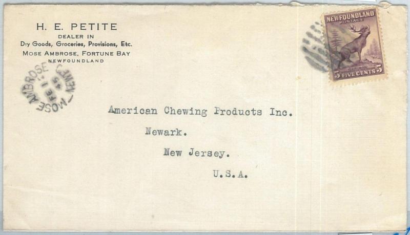 72391 -  NEWFOUNDLAND - POSTAL HISTORY:   Cover to USA 1945