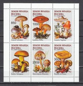 Fr. Josiph Earth, Russian Local, 11-16 issue. Mushrooms sheet of 6.