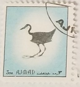 Ajman Birds Blue 3Dh