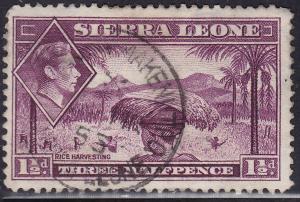 Sierra Leone 175A USED 1941 Rice Harvesting