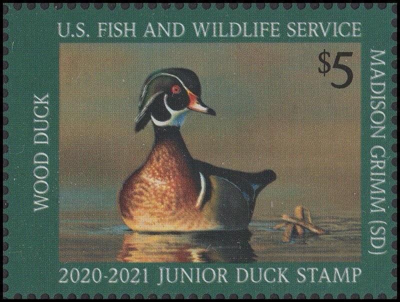 US JDS28 Junior Duck Wood Duck $5 single (1 stamp) MNH 2020-2021