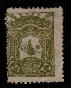 TURKEY Scott 126 Mint No Gum 1905 25po Olive Green stamp