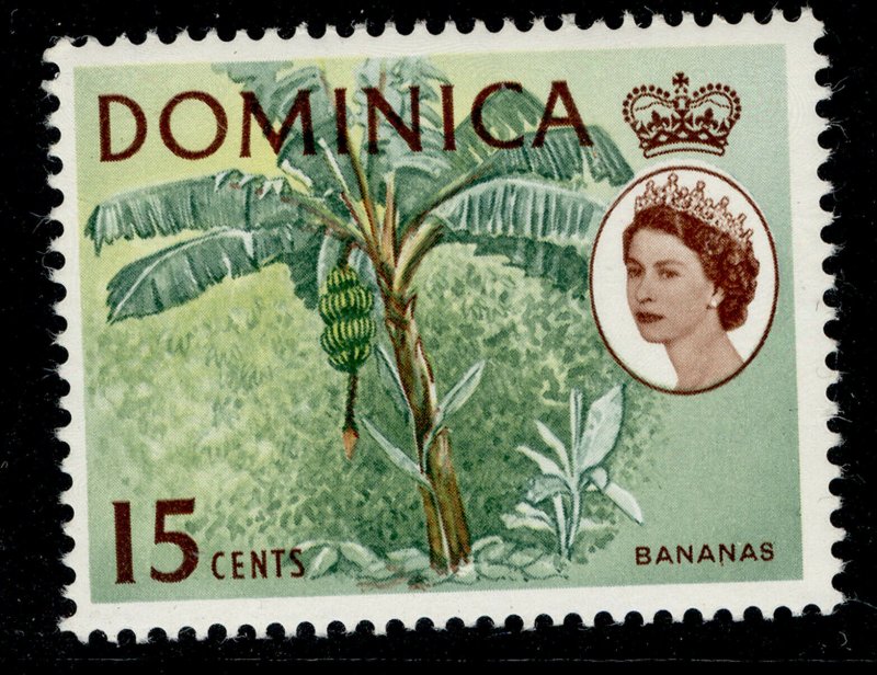 DOMINICA QEII SG172, 15c yellow, green & brown, NH MINT.