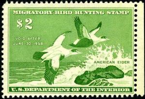 RW24 Mint Never Hinged $2 Duck Stamp from 1957