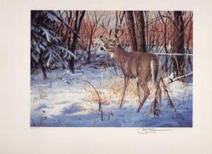 ILLINOIS #1 1993 STATE HABITAT STAMP PRINT WHITETAIL DEER by Jim Killen 2 stamps