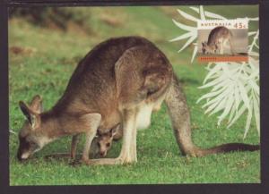 Australia Postal Card FDC