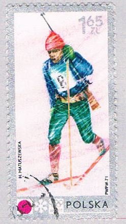 Poland Skier 165 (AP114212)