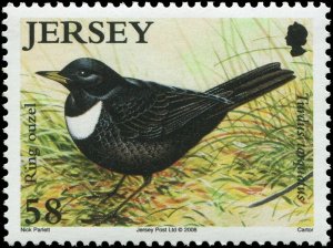 Great Britain Jersey 2008 Sc 1342-1347 Birds Wheatear Whinchat Wagtail CV $9.90