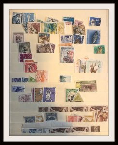 Medium Size Foreign Accumulation