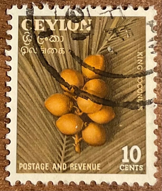 Ceylon #329 Used Single King Coconuts