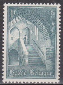 Belgium #631 Mint Never Hinged VF (ST1034)  