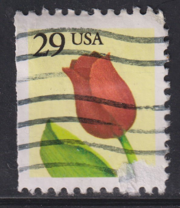 United States 2524 Tulip 1991