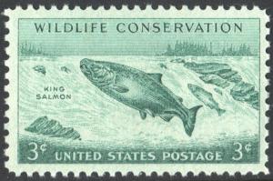 SC#1079 3¢ Wildlife Conservation: King Salmon (1956) MNH