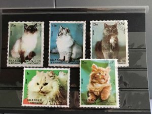 Sharjah Long Hair   Cats stamps   R25324