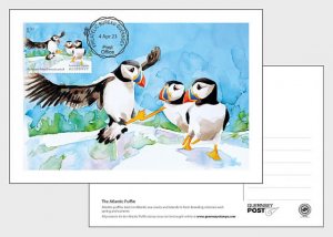 2023 Alderney Atlantic Puffin Maxi Cards (6)   (Scott NA) MNH