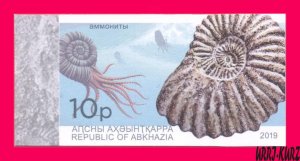 ABKHAZIA 2019 Fauna Marine Shell Fossil Extinct Cephalopod Ammonite Archaeology