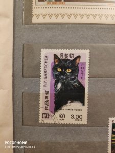 Kampuchea	cats (F3)